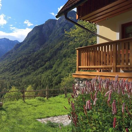 Zadnjica Holiday House Soča Eksteriør bilde